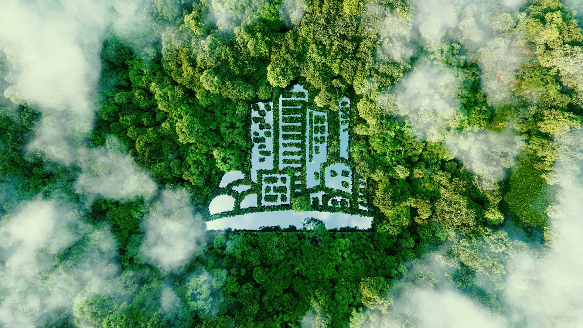 Symbolbild: Luftansicht Waldgebiet
